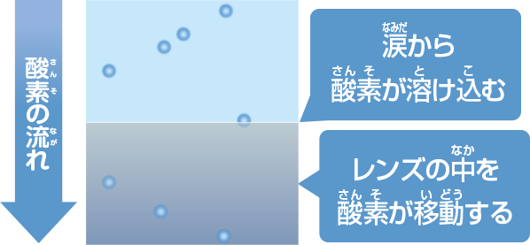 酸素透過生の低いレンズ