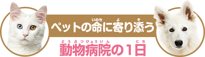 動物病院の一日