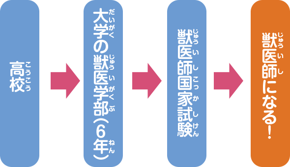 獣医師になるには？