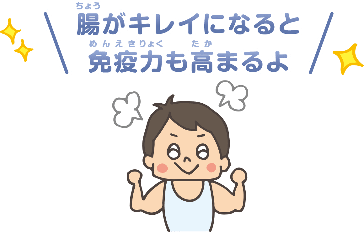 腸がキレイになると免疫力も高まるよ