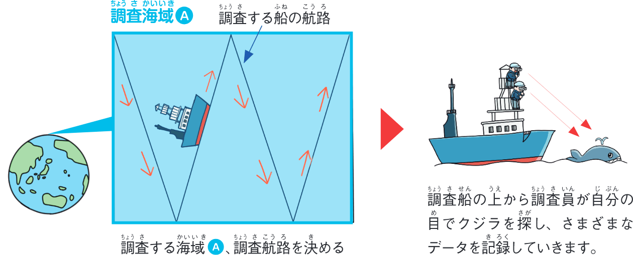 調査海域