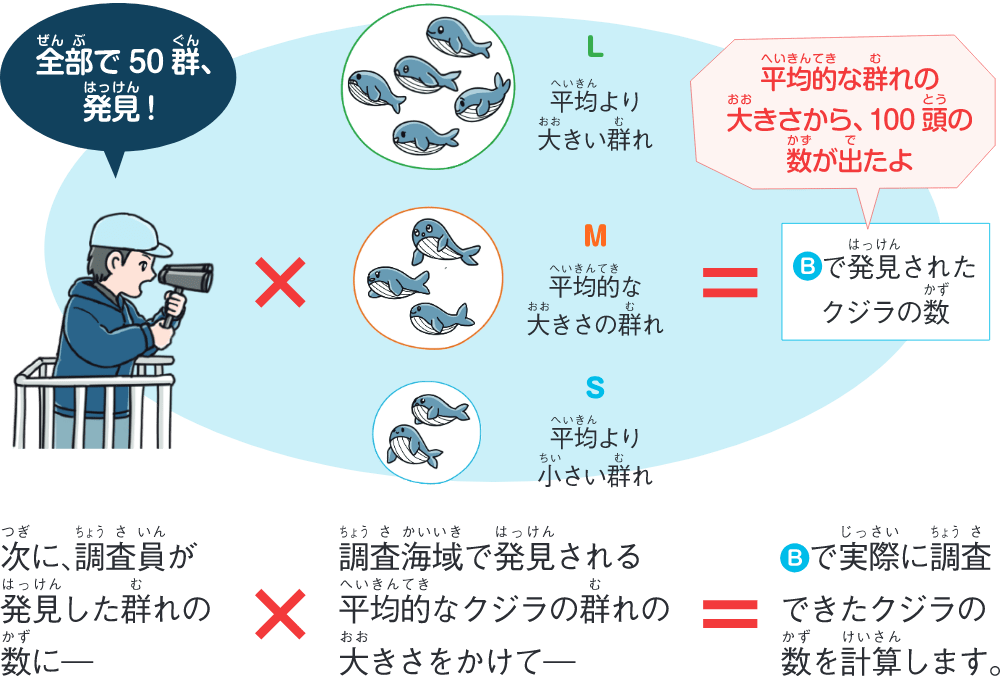 クジラの数を算出