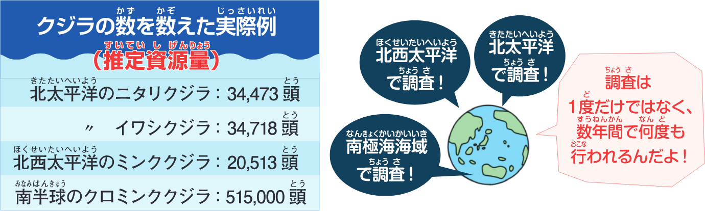 クジラの推定資源量