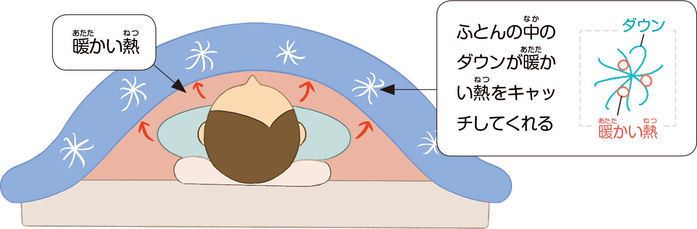 ダウンが大きいほど保温力が高い