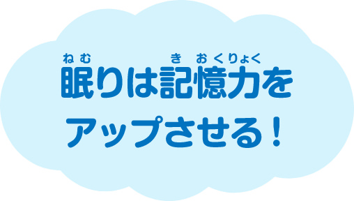 眠りは記憶力をアップさせる！