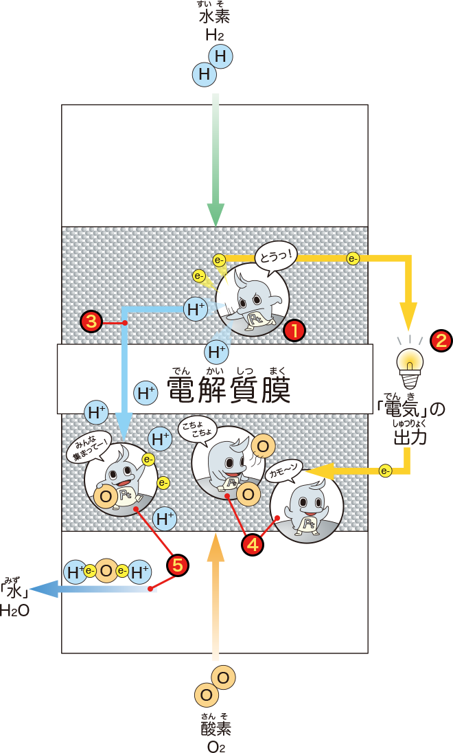 燃料電池の中