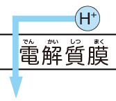 水素イオン(H+)は電解質膜を通って正極に流れる。