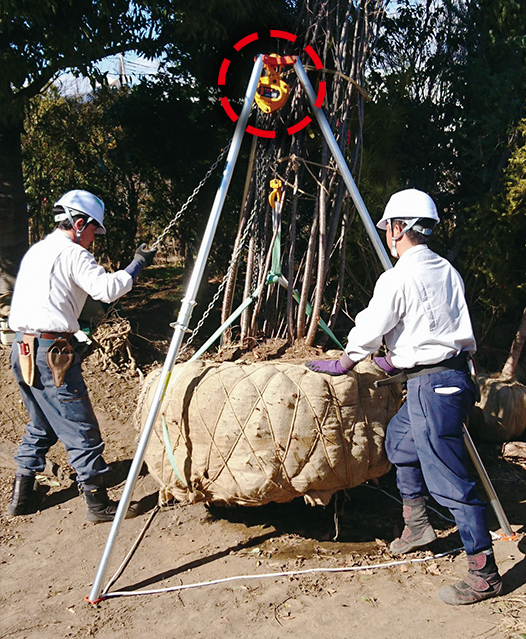 チェーンブロック