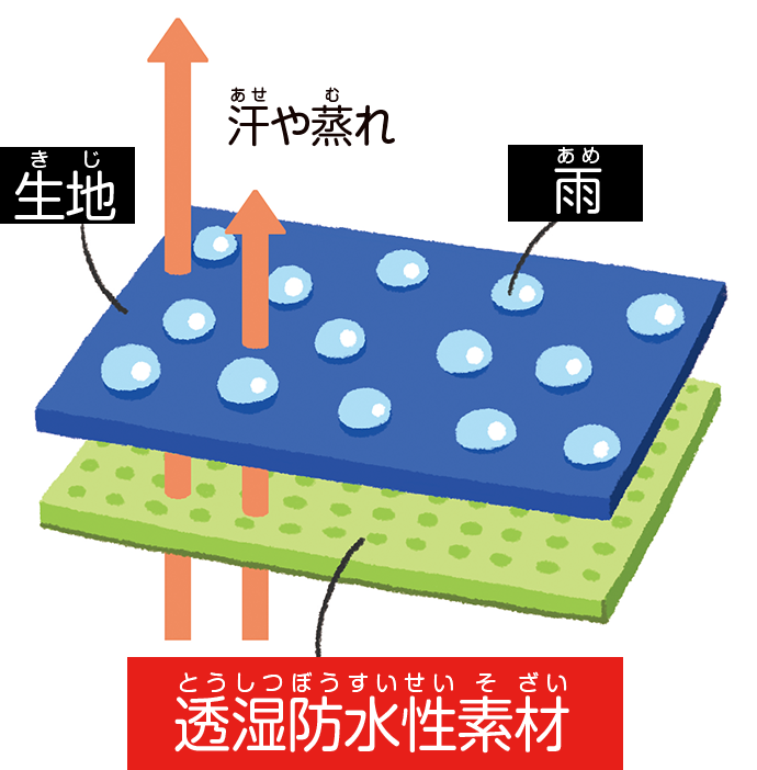 透湿防水性素材のひみつは、たくさんの小さな穴があいた膜を使っていること。この穴は水蒸気より大きく、水滴よりも小さいため、湿気は通して水滴は通さない