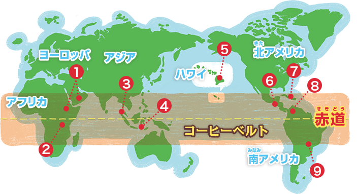 コーヒー豆の種類を世界地図で見てみよう！