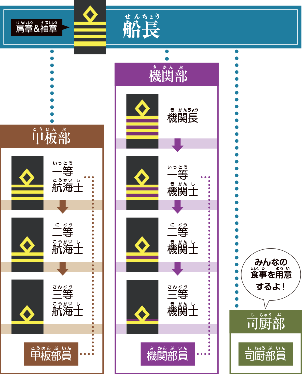 外国に行く外航船に乗船している船員は、意外と少なく25人ほど。船長以下、甲板部、機関部、司厨部で構成されています。