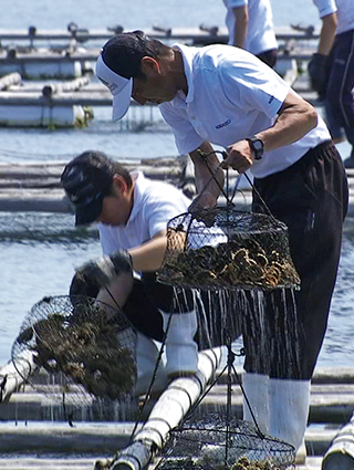 貝の管理