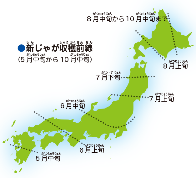 1年を通じて、日本中のじゃがいもを使うよ