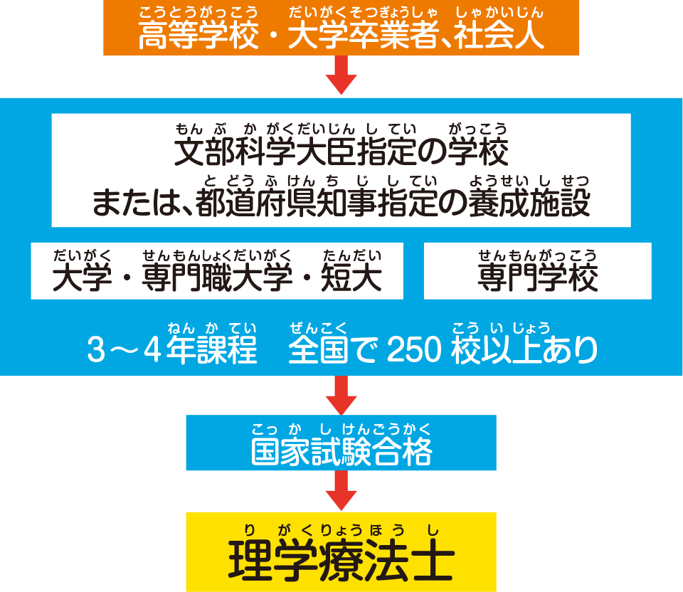 資格の取り方は？