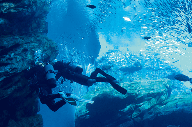 水族館